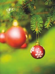 Χριστουγεννιάτικες κάρτες 14x10.5 Δίπτυχες - Κωδικός:137642-46