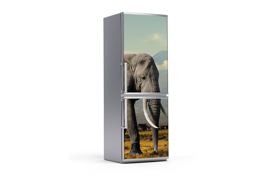 Υφασμάτινο αυτοκόλλητο ψυγείου που απεικονίζει έναν ελέφαντα.Είναι ανθεκτικό και κολλάει και ξεκολλάει εύκολα.Μπορείτε να μας ζητήσετε να εκτυπωθεί σε όποιες διαστάσεις θέλετε. Το θέμα προσαρμόζεται αναλογικά στις διαστάσεις που θέλετε.Το παράδειγμα που παρουσιάζουμε στην απομονωμένη εικόνα του θέματος αφορά ψυγείο με διαστάσεις 75cm πλάτος x 200cm ύψος.