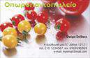 Επαγγελματικές κάρτες - Φρούτα Λαχανικά - Κωδικός:99876