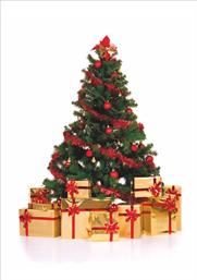 Χριστουγεννιάτικες κάρτες 17x12 Δίπτυχες - Κωδικός:136948-69