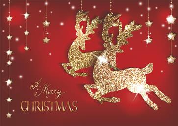 Χριστουγεννιάτικες κάρτες 17x12 Δίπτυχες - Κωδικός:137030-335