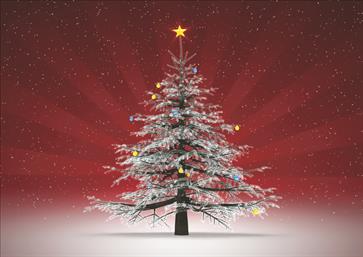 Χριστουγεννιάτικες κάρτες 17x12 Δίπτυχες - Κωδικός:137129-245