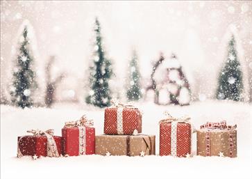 Χριστουγεννιάτικες κάρτες 17x12 Μονόφυλλες - Κωδικός:136212-363