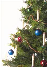 Χριστουγεννιάτικες κάρτες 17x12 Μονόφυλλες - Κωδικός:136282-30