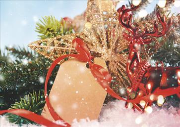 Χριστουγεννιάτικες κάρτες 17x12 Μονόφυλλες - Κωδικός:136450-146