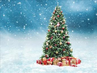 Χριστουγεννιάτικες κάρτες 14x10.5 Δίπτυχες - Κωδικός:137347-152