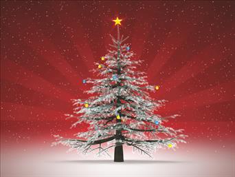 Χριστουγεννιάτικες κάρτες 14x10.5 Δίπτυχες - Κωδικός:137473-267