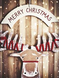 Χριστουγεννιάτικες κάρτες 14x10.5 Δίπτυχες - Κωδικός:137476-27