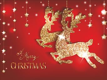 Χριστουγεννιάτικες κάρτες 14x10.5 Δίπτυχες - Κωδικός:137576-360