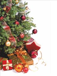 Χριστουγεννιάτικες κάρτες 14x10.5 Δίπτυχες - Κωδικός:137659-61