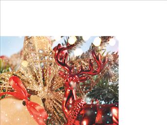Χριστουγεννιάτικες κάρτες 14x10.5 Μονόφυλλες - Κωδικός:136845-161