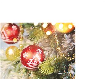 Χριστουγεννιάτικες κάρτες 14x10.5 Μονόφυλλες - Κωδικός:136848-159