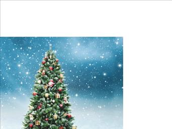 Χριστουγεννιάτικες κάρτες 14x10.5 Μονόφυλλες - Κωδικός:136855-152