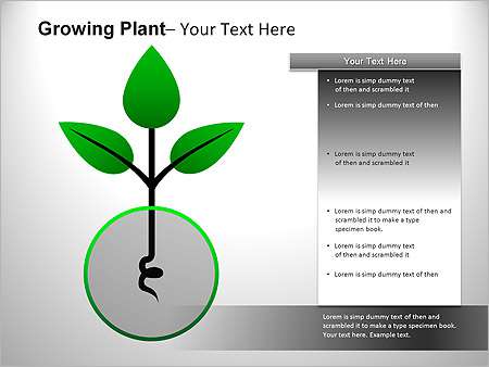 Παρουσιάσεις PowerPoint - PowerPoint Παρουσιάσεις - Κωδικός:ST01985 - 