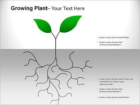 Παρουσιάσεις PowerPoint - PowerPoint Παρουσιάσεις - Κωδικός:ST01985 - 