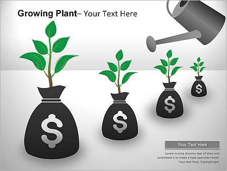 Παρουσιάσεις PowerPoint - PowerPoint Παρουσιάσεις - Κωδικός:ST01985 - 