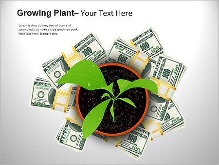 Παρουσιάσεις PowerPoint - PowerPoint Παρουσιάσεις - Κωδικός:ST01985 - 