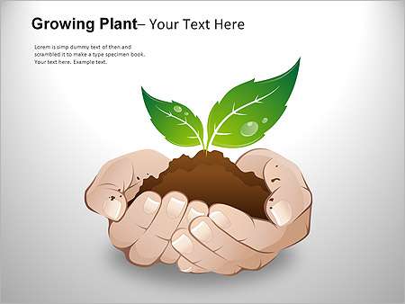 Παρουσιάσεις PowerPoint - PowerPoint Παρουσιάσεις - Κωδικός:ST01985 - 