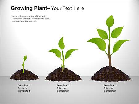 Παρουσιάσεις PowerPoint - PowerPoint Παρουσιάσεις - Κωδικός:ST01985 - 