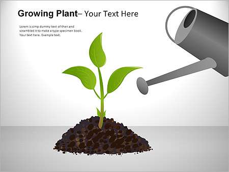 Παρουσιάσεις PowerPoint - PowerPoint Παρουσιάσεις - Κωδικός:ST01985 - 