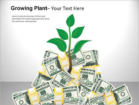 Παρουσιάσεις PowerPoint - PowerPoint Παρουσιάσεις - Κωδικός:ST01985 - 