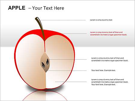 Παρουσιάσεις PowerPoint - PowerPoint Παρουσιάσεις - Κωδικός:ST02011 - 