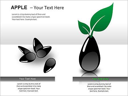 Παρουσιάσεις PowerPoint - PowerPoint Παρουσιάσεις - Κωδικός:ST02011 - 
