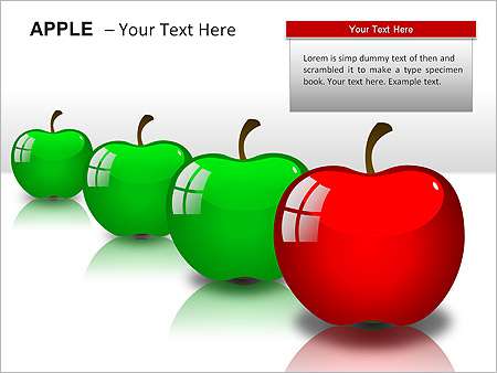 Παρουσιάσεις PowerPoint - PowerPoint Παρουσιάσεις - Κωδικός:ST02011 - 