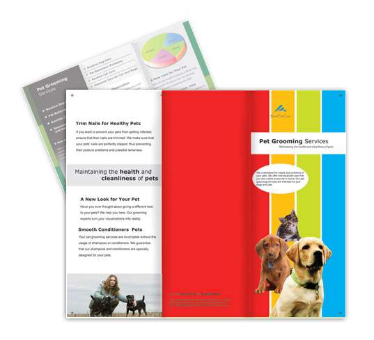 Τρίπτυχα - Ψυχαγωγία - Κωδικός:BM00102 - 