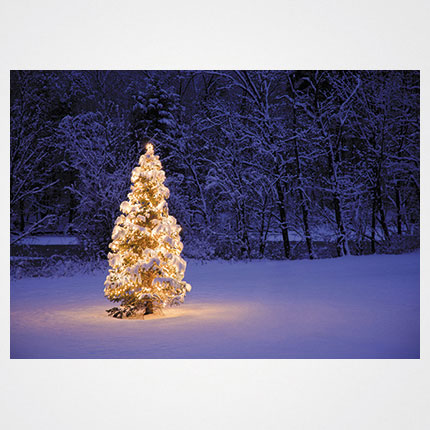 Χριστουγεννιάτικη κάρτα XMS-HOR-94023             Προτεινόμενες διαστάσεις: 17x12 και 14x10,5    Μονόφυλλη ή δίπτυχη    Πίκμανση στο δίπλωμα της δίπτυχης    Παράδοση με τους αντίστοιχους φακέλους    Χαρτί 350γρ    Εκτύπωση ευχής στο εσωτερικό της κάρτας    Δυνατότητα προσθήκης του λογοτύπου σας       Σας προσφέρπυμε την εκτύπωση ετικετών παραληπτών μαζί με τις κάρτες σας, καθιστώντας την κάρτα ιδανική για αποστολή ευχών σε πελάτες, συνεργάτες και φίλους, ενισχύοντας τις προσωπικές και επαγγελματικές σχέσεις.      Μη διστάσετε να μας ζητήσετε να σχεδιάσουμε μια χριστουγεννιάτικη κάρτα προσαρμοσμένη στις ανάγκες σας, με ειδικές εκτυπώσεις και τεχνικές.    Η εκτύπωση των καρτών μπορεί να είναι είτε ψηφιακή είτε offset ανάλογα τα τεμάχια και τις απαιτήσεις της μακέτας.      Ζητήστε μας μια προσφορά για τα έντυπα σας, σήμερα. 