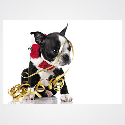 Χριστουγεννιάτικη κάρτα XMS-HOR-94067             Προτεινόμενες διαστάσεις: 17x12 και 14x10,5    Μονόφυλλη ή δίπτυχη    Πίκμανση στο δίπλωμα της δίπτυχης    Παράδοση με τους αντίστοιχους φακέλους    Χαρτί 350γρ    Εκτύπωση ευχής στο εσωτερικό της κάρτας    Δυνατότητα προσθήκης του λογοτύπου σας       Σας προσφέρπυμε την εκτύπωση ετικετών παραληπτών μαζί με τις κάρτες σας, καθιστώντας την κάρτα ιδανική για αποστολή ευχών σε πελάτες, συνεργάτες και φίλους, ενισχύοντας τις προσωπικές και επαγγελματικές σχέσεις.      Μη διστάσετε να μας ζητήσετε να σχεδιάσουμε μια χριστουγεννιάτικη κάρτα προσαρμοσμένη στις ανάγκες σας, με ειδικές εκτυπώσεις και τεχνικές.    Η εκτύπωση των καρτών μπορεί να είναι είτε ψηφιακή είτε offset ανάλογα τα τεμάχια και τις απαιτήσεις της μακέτας.      Ζητήστε μας μια προσφορά για τα έντυπα σας, σήμερα. 