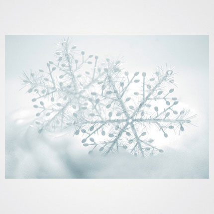 Χριστουγεννιάτικη κάρτα XMS-HOR-94106             Προτεινόμενες διαστάσεις: 17x12 και 14x10,5    Μονόφυλλη ή δίπτυχη    Πίκμανση στο δίπλωμα της δίπτυχης    Παράδοση με τους αντίστοιχους φακέλους    Χαρτί 350γρ    Εκτύπωση ευχής στο εσωτερικό της κάρτας    Δυνατότητα προσθήκης του λογοτύπου σας       Σας προσφέρπυμε την εκτύπωση ετικετών παραληπτών μαζί με τις κάρτες σας, καθιστώντας την κάρτα ιδανική για αποστολή ευχών σε πελάτες, συνεργάτες και φίλους, ενισχύοντας τις προσωπικές και επαγγελματικές σχέσεις.      Μη διστάσετε να μας ζητήσετε να σχεδιάσουμε μια χριστουγεννιάτικη κάρτα προσαρμοσμένη στις ανάγκες σας, με ειδικές εκτυπώσεις και τεχνικές.    Η εκτύπωση των καρτών μπορεί να είναι είτε ψηφιακή είτε offset ανάλογα τα τεμάχια και τις απαιτήσεις της μακέτας.      Ζητήστε μας μια προσφορά για τα έντυπα σας, σήμερα. 