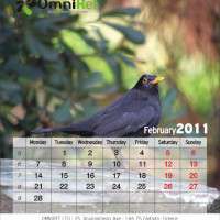 Εκτυπώσεις ημερολογίων - Κωδικός: RR76378 - 
