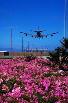 Θέματα Ημερολογίων - Αεροπλάνα - Κωδικός:21264 - 