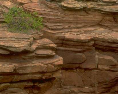 Θέματα Ημερολογίων - Άγρια Τοπία - Κωδικός:20549 - 