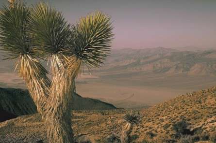 Θέματα Ημερολογίων - Άγρια Τοπία - Κωδικός:20563 - 