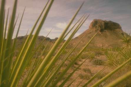 Θέματα Ημερολογίων - Άγρια Τοπία - Κωδικός:20566 - 