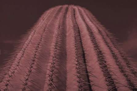 Θέματα Ημερολογίων - Άγρια Τοπία - Κωδικός:20571 - 