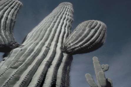 Θέματα Ημερολογίων - Άγρια Τοπία - Κωδικός:20572 - 