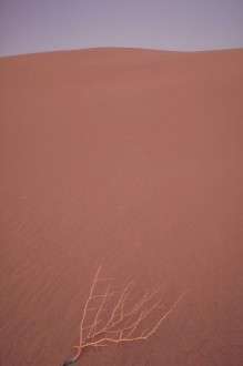 Θέματα Ημερολογίων - Άγρια Τοπία - Κωδικός:20573 - 