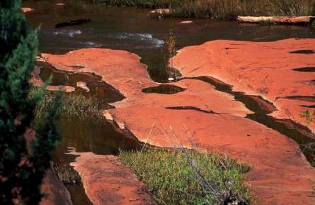 Θέματα Ημερολογίων - Άγρια Τοπία - Κωδικός:20593 - 