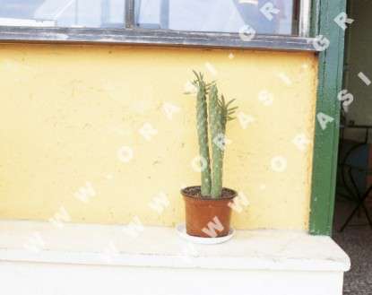 Θέματα Ημερολογίων - Αιγαίο - Κωδικός:19746 - 