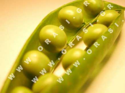 Θέματα Ημερολογίων - Διάφορα - Κωδικός:20915 - 