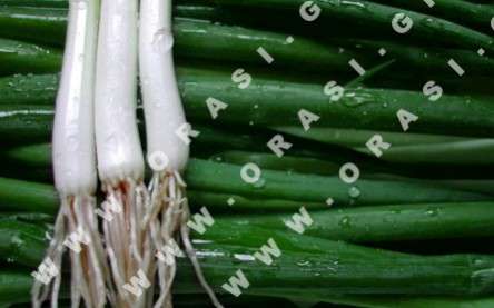 Θέματα Ημερολογίων - Διάφορα - Κωδικός:20917 - 