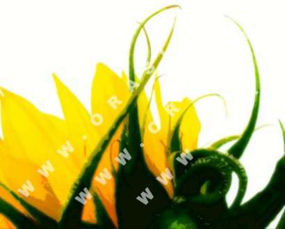 Θέματα Ημερολογίων - Διάφορα - Κωδικός:21048 - 