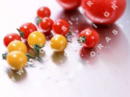 Θέματα Ημερολογίων - Διάφορα - Κωδικός:21118 - 