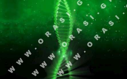 Θέματα Ημερολογίων - Διάφορα - Κωδικός:21133 - 