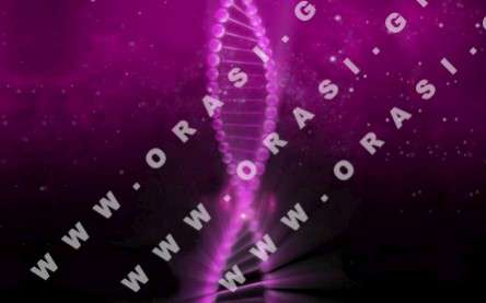 Θέματα Ημερολογίων - Διάφορα - Κωδικός:21134 - 