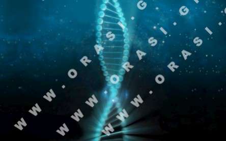 Θέματα Ημερολογίων - Διάφορα - Κωδικός:21135 - 