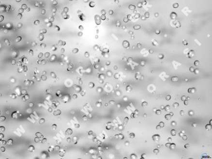 Θέματα Ημερολογίων - Διάφορα - Κωδικός:21155 - 